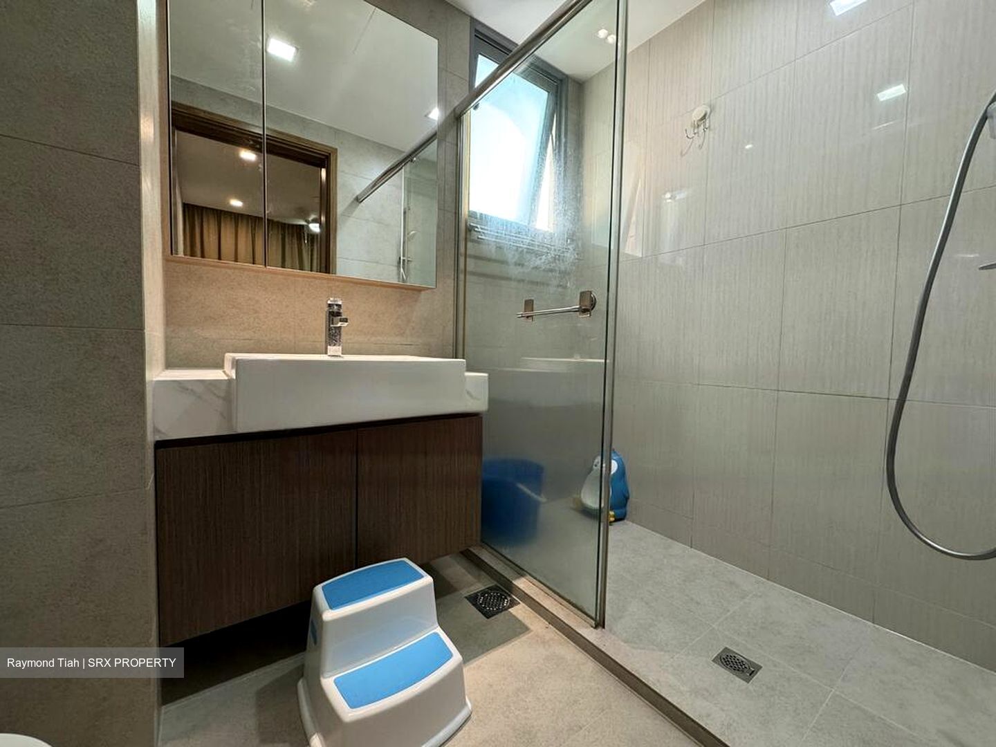 The Canopy (D27), Condominium #466566131